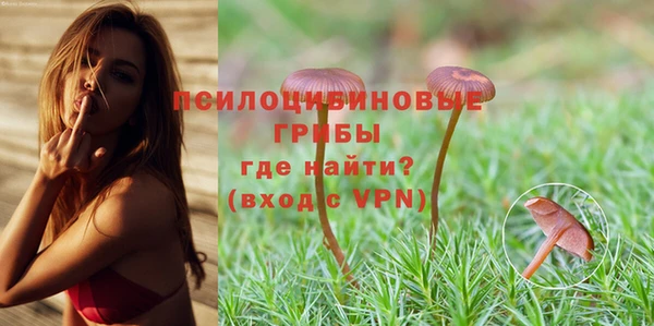 молекула духа Лихославль
