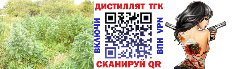 Купить где  Торопец  ТГК концентрат 