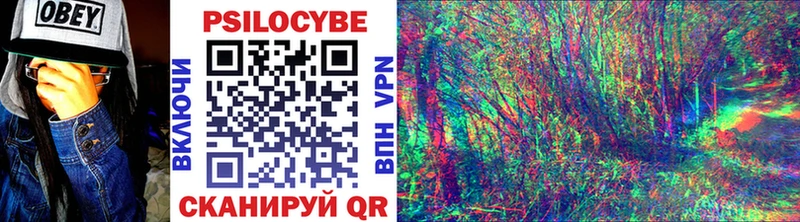 Галлюциногенные грибы MAGIC MUSHROOMS  Купить где  Торопец 